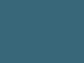 Grey glossy anti-gravel film Polor High Gloss Daytona / PPF-1261G