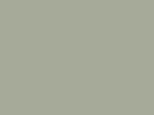 Grey glossy anti-gravel film Polor High Gloss Fusion / PPF-1012G
