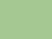 Green glossy anti-gravel film Polor High Gloss Khaki Green / PPF-1260G