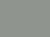 Grey glossy anti-gravel film Polor High Gloss Light Grey / PPF-1005G