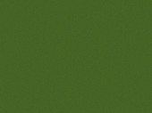 Green glossy anti-gravel film Polor High Gloss Mamba Green / PPF-1017G