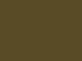Green glossy anti-gravel film Polor High Gloss Military Green / PPF-1003G