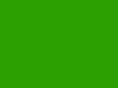 Green glossy anti-gravel film Polor High Gloss Vivid Green / PPF-1041G