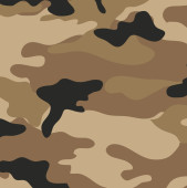 Camouflage film A031