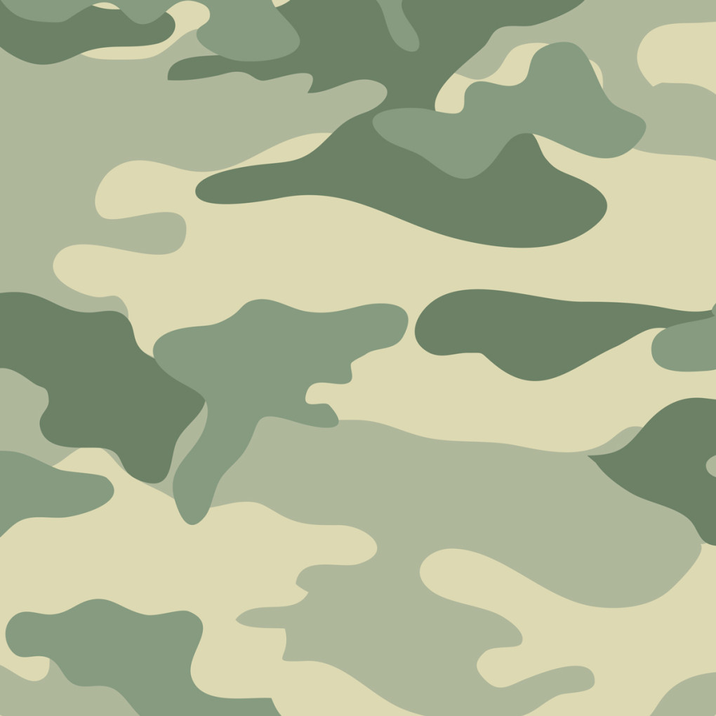 Плівка камуфляж A033-1