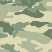 Camouflage film A033