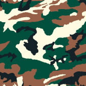 Camouflage film B033