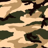 Camouflage film B043