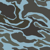 Camouflage film B050