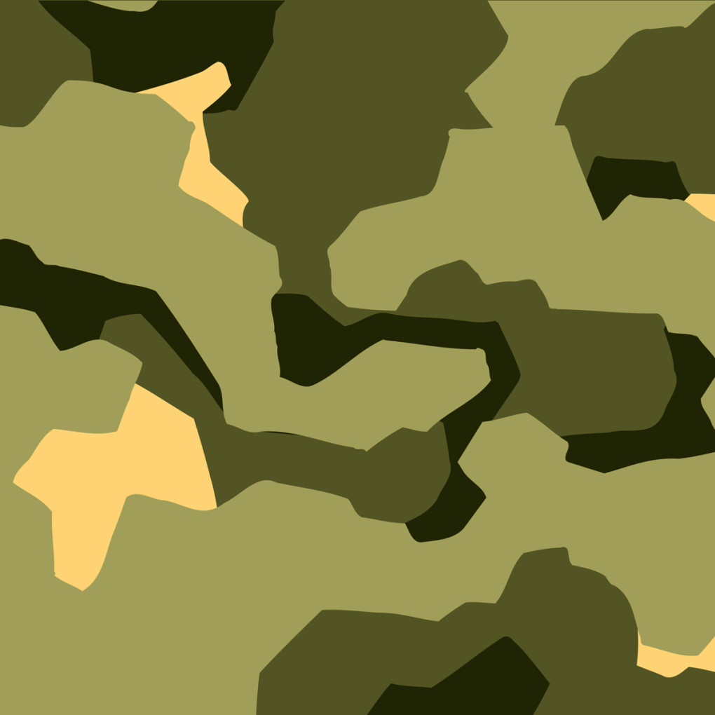 Плівка камуфляж B069-1