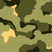 Camouflage film B069