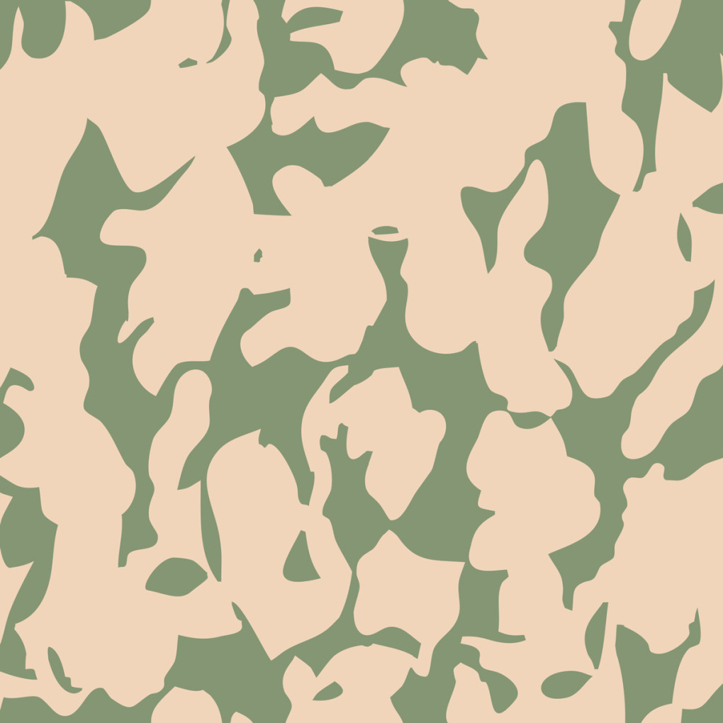 Плівка камуфляж B071-1