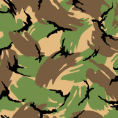 Плёнка камуфляж B074