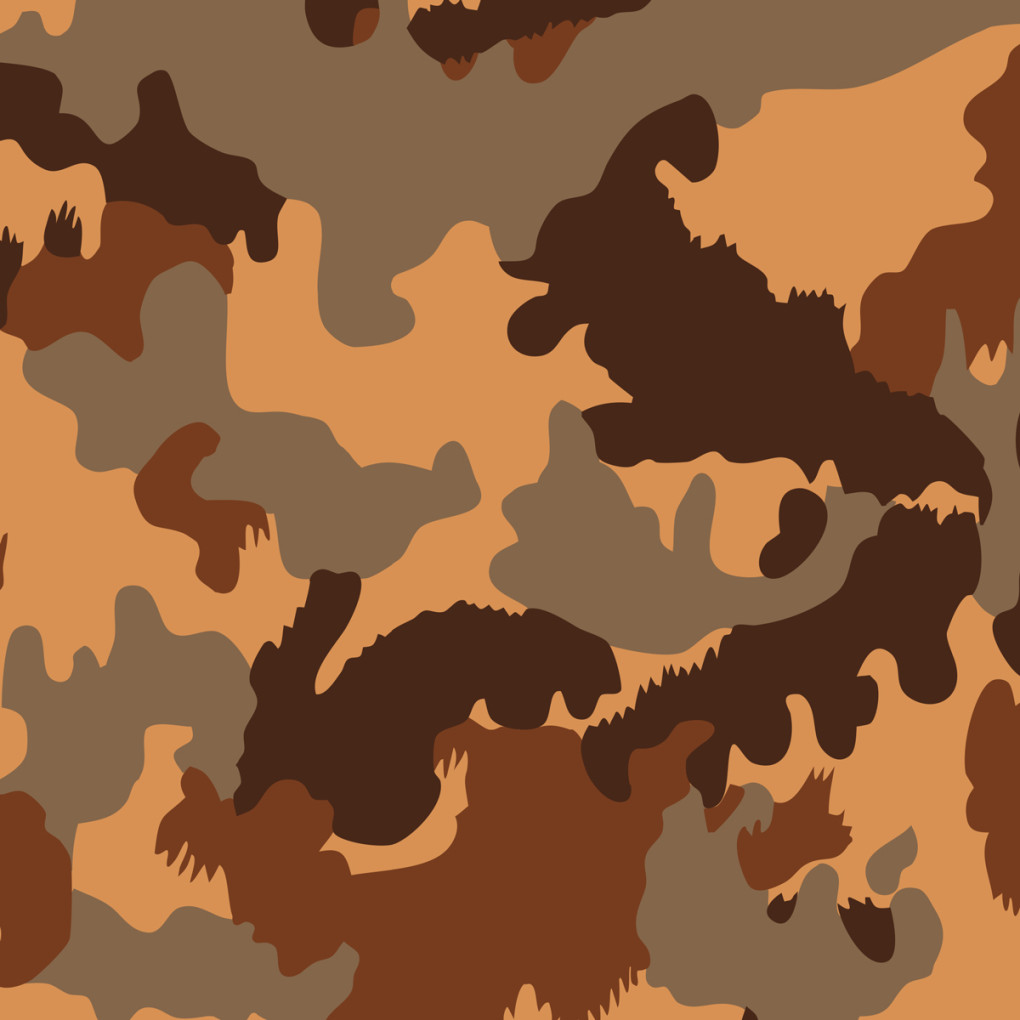 Плівка камуфляж B076-1