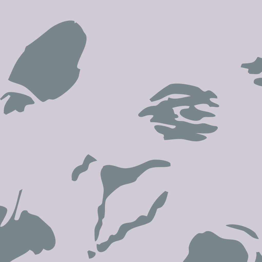 Плівка камуфляж B084-1