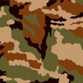 Camouflage film B086