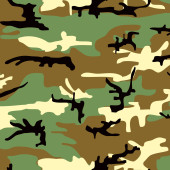 Camouflage film B095