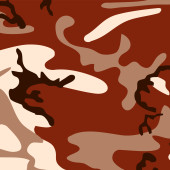 Camouflage film B096