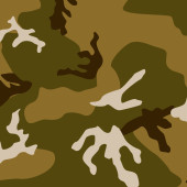 Camouflage film B113