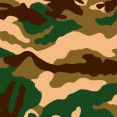 Camouflage film B129
