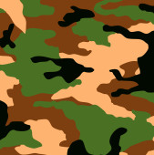 Camouflage film B130