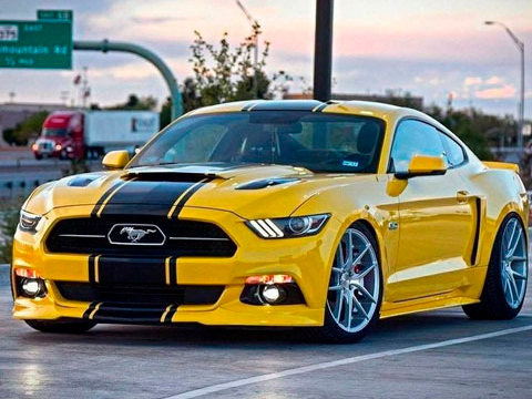 PPF UPPF Sunflower Yellow